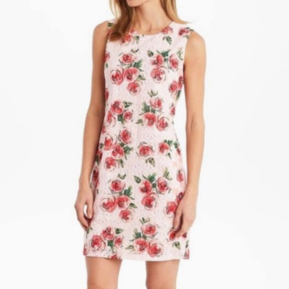 Karl Lagerfeld Art Rose Print Pink Red Sleeveless Lace Overlay Sheath Dress